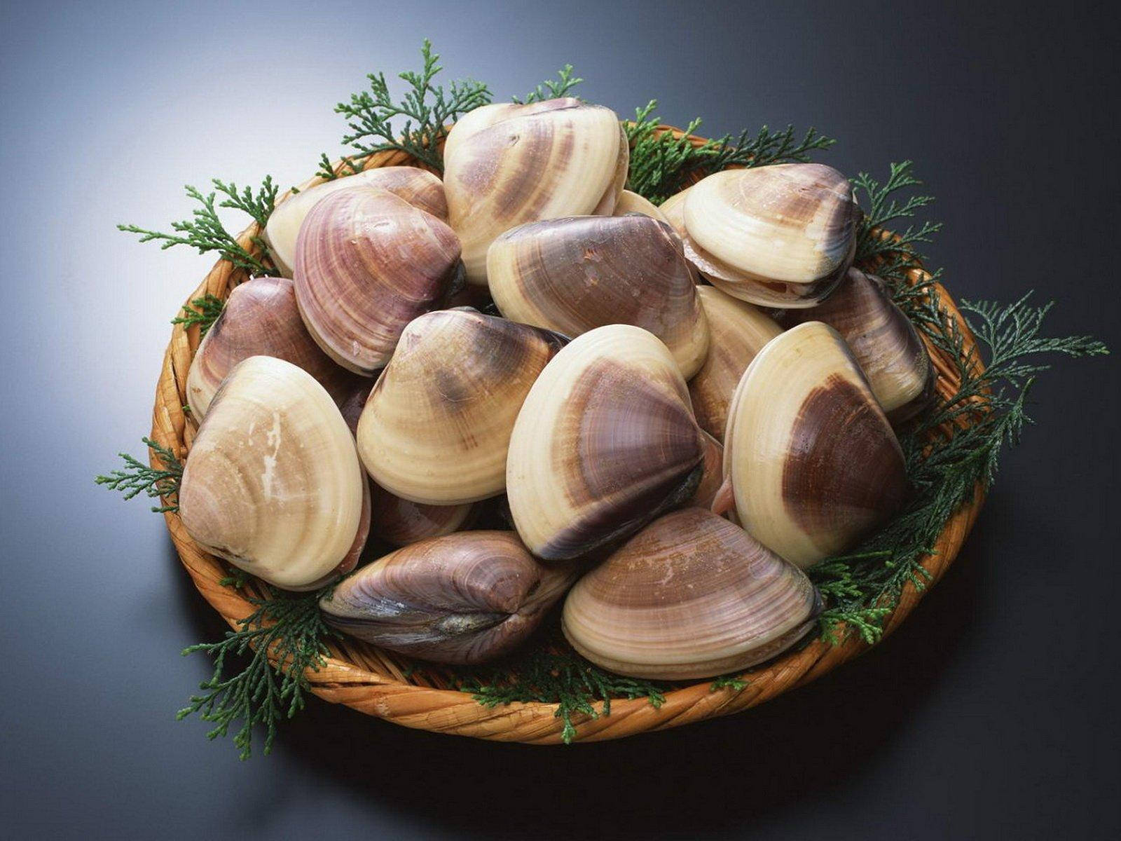 Clams In A Plate Wallpaper