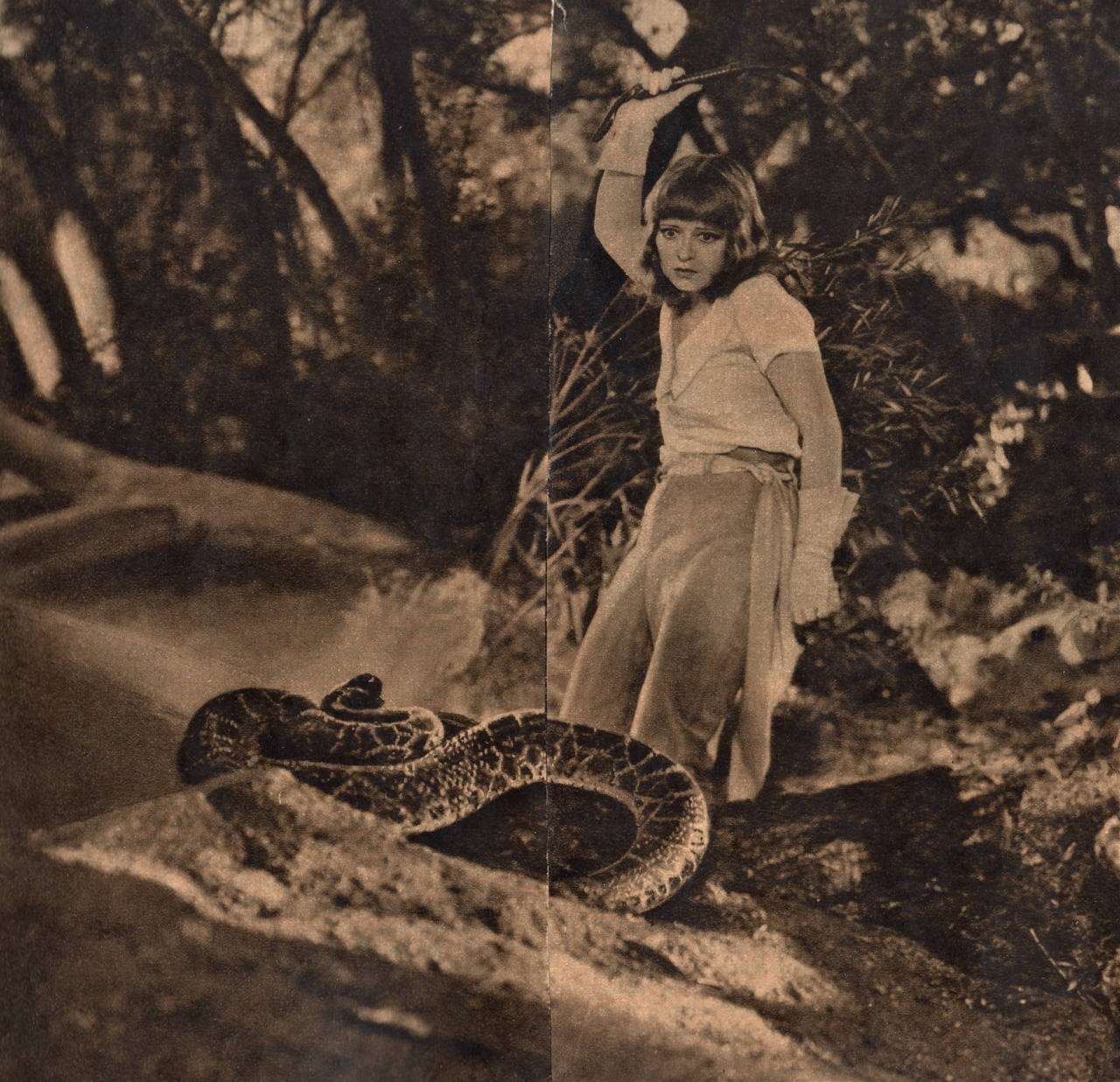 Clara Bow og stor slange Wallpaper