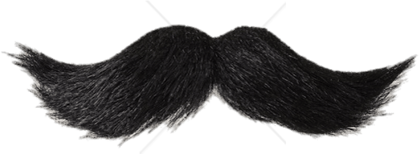 Classic Black Moustache Illustration PNG