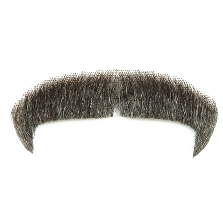Classic Black Moustache Isolated PNG