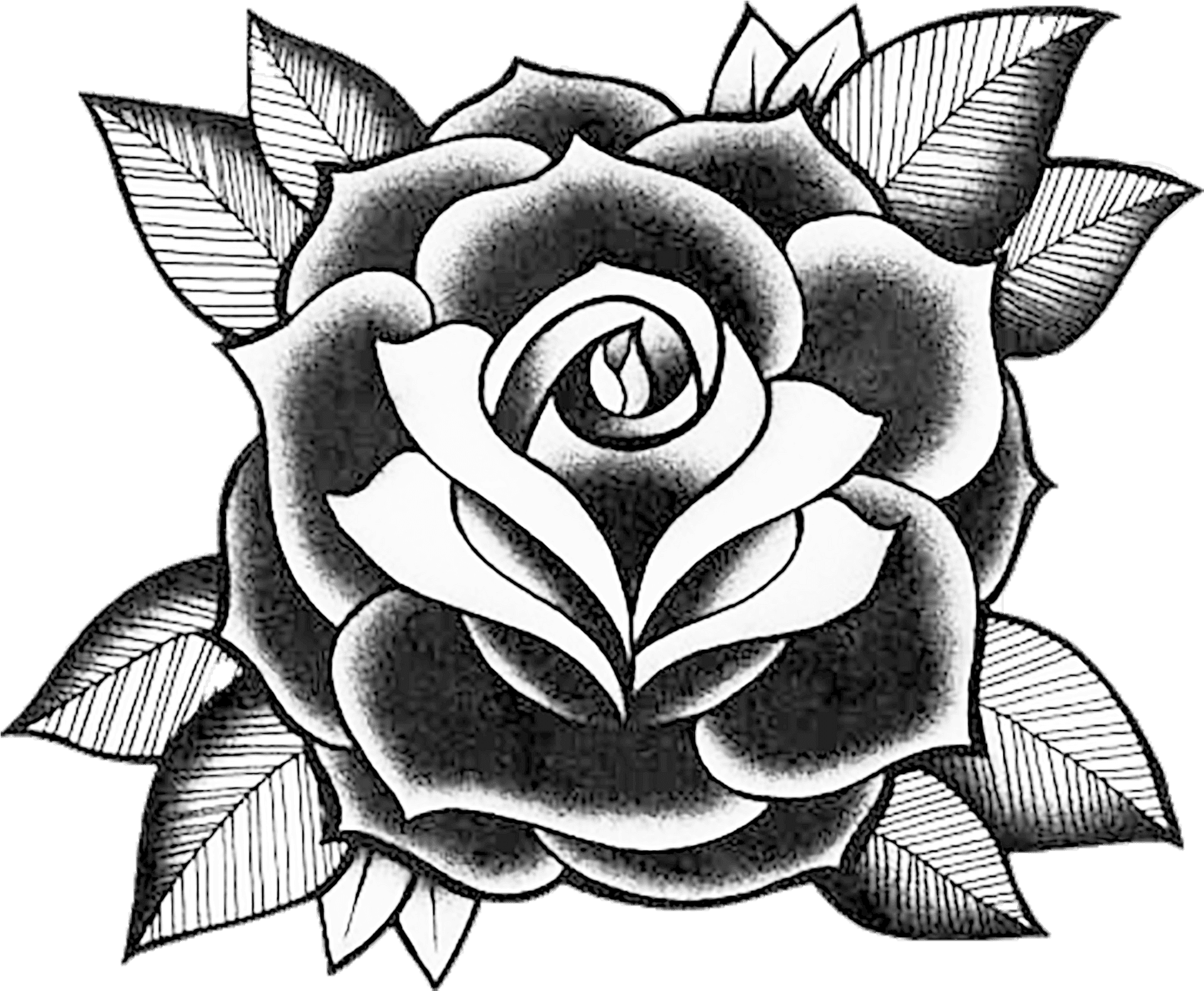 Classic Blackand White Rose Tattoo Design PNG