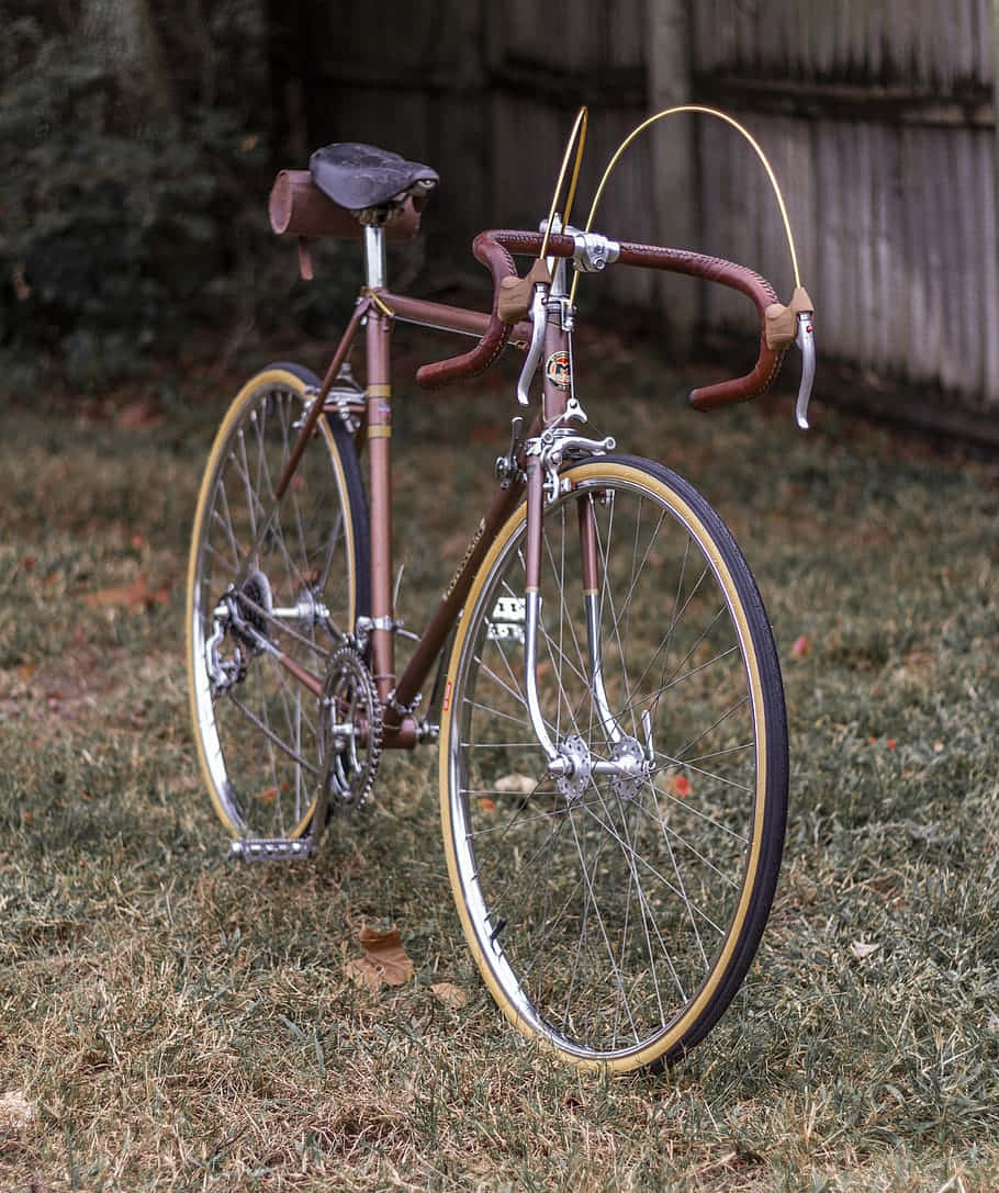 Vélo Vintage Marron Classique En Plein Air Fond d'écran