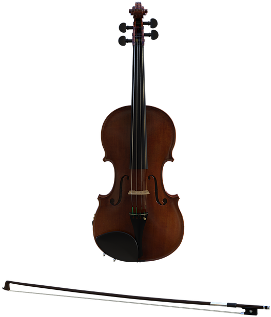 Classic Celloand Bow PNG