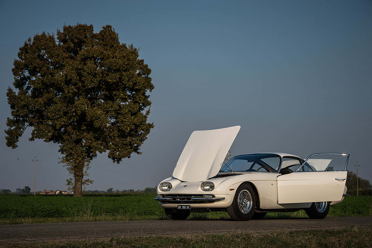 Classic Elegance - The Lamborghini 350 Gt Wallpaper