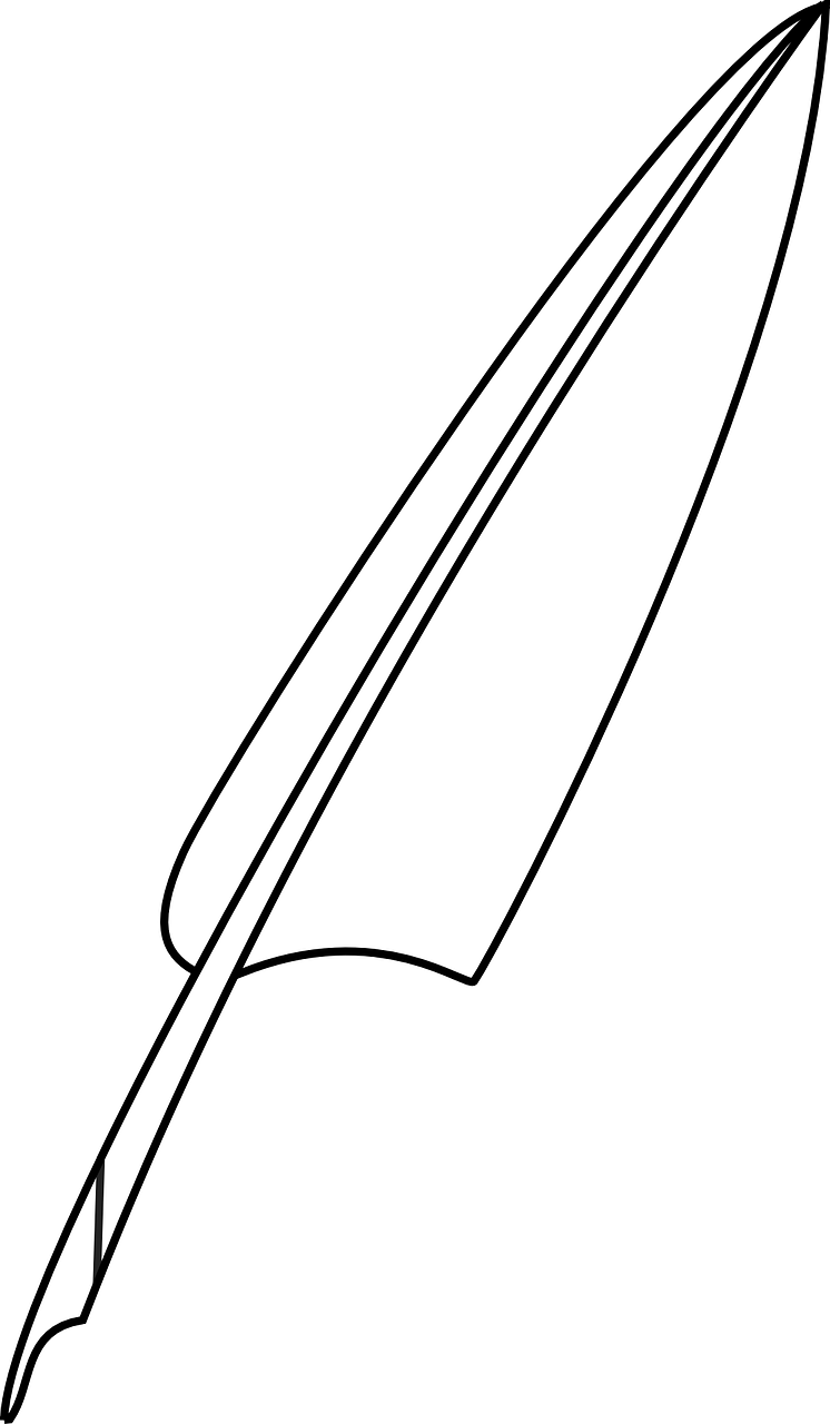 Classic Feather Quill Pen Outline PNG