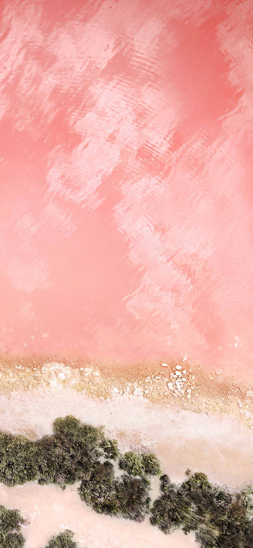 A Pink Beach With A Pink Sky Wallpaper