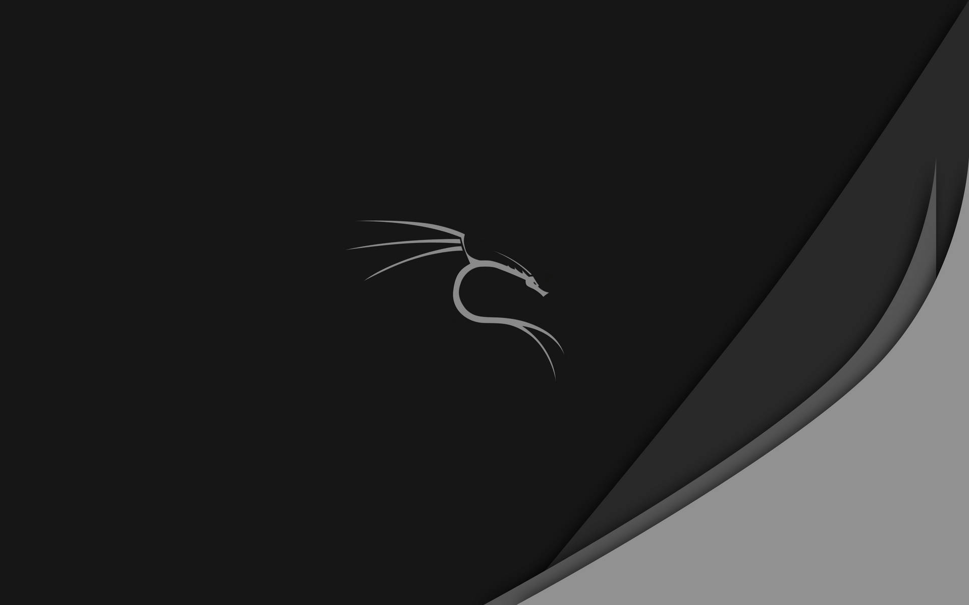 Klassisk Kali Linux Logo Tapet: Giv din computer et klassisk udseende med det originale Kali Linux logo tapet. Wallpaper