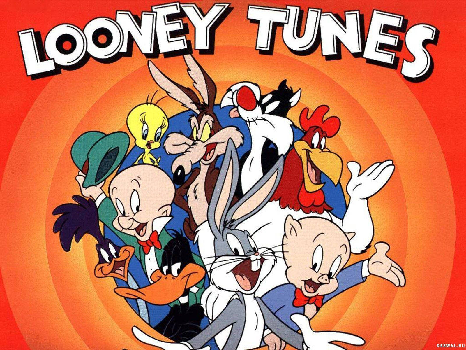 Download Classic Looney Tunes Cartoon Network Characters Wallpaper |  