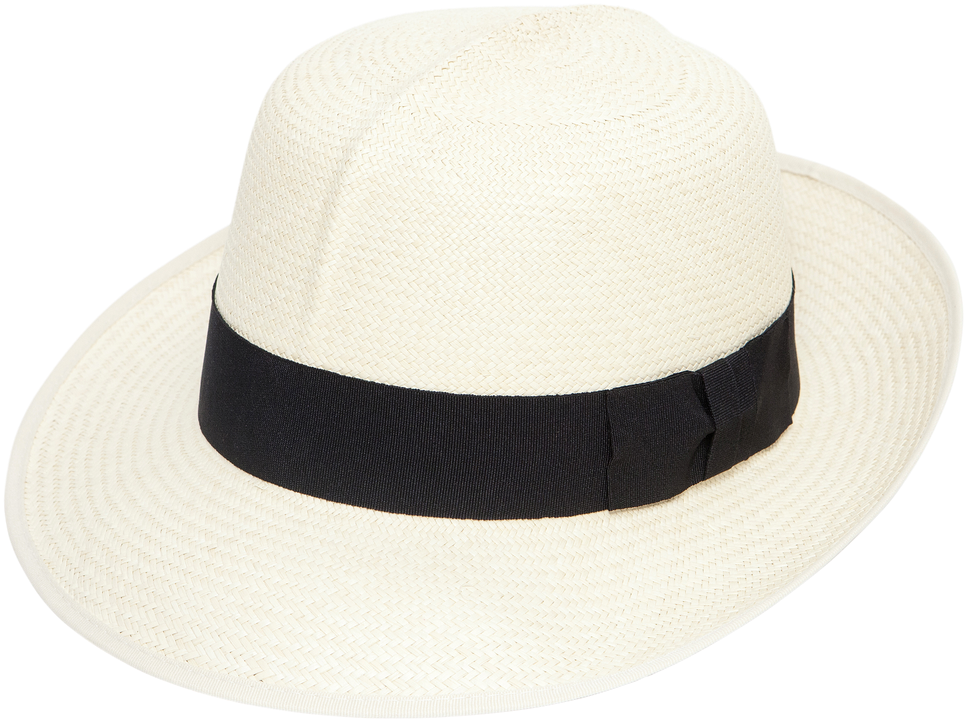 Download Classic Panama Hat Wallpapers Com   Classic Panama Hat Ixklm0o8dy2n3ccy 