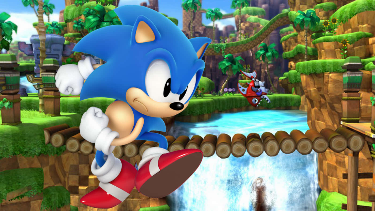 Classic Sonic the Hedgehog Is Ready For Adventure!