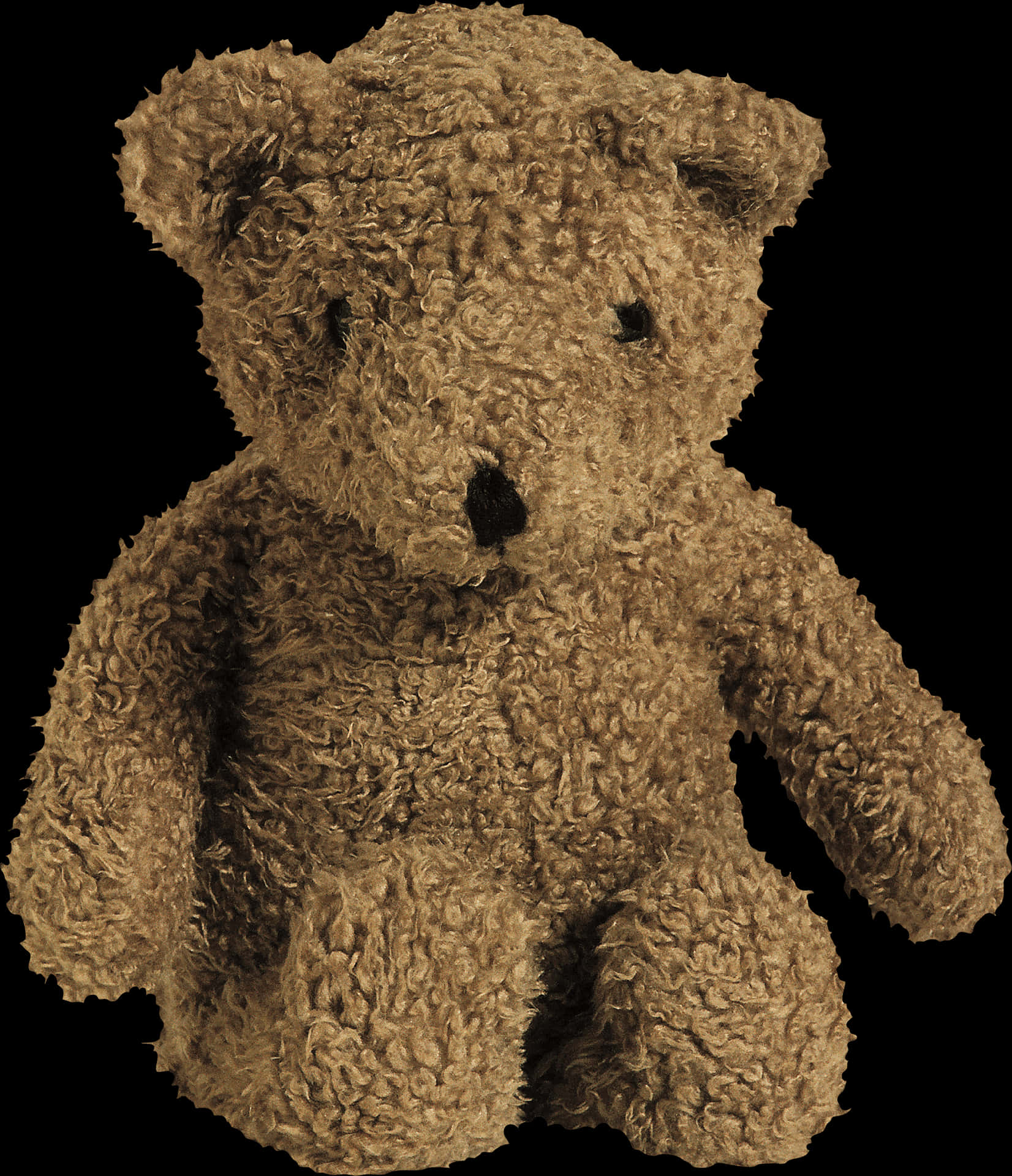 Classic Teddy Bear Portrait PNG