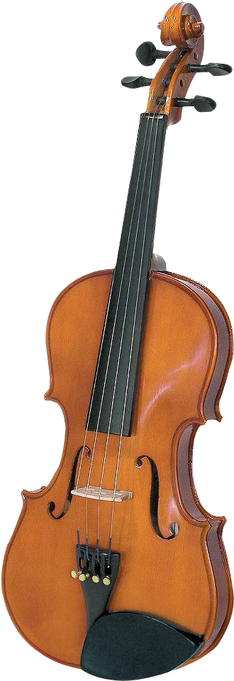 Classic Violin Isolatedon Gray PNG