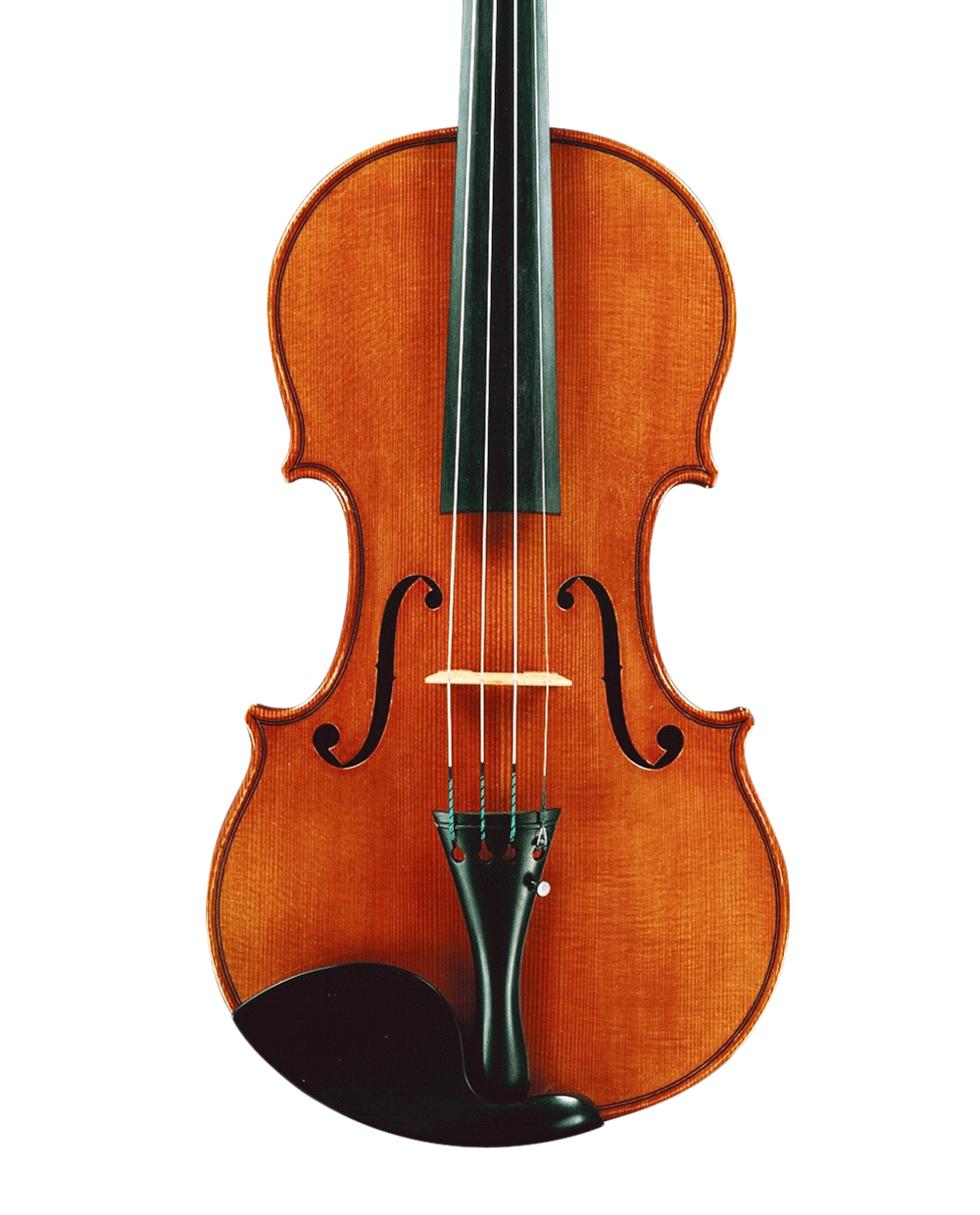 Classic Violinon Black Background PNG