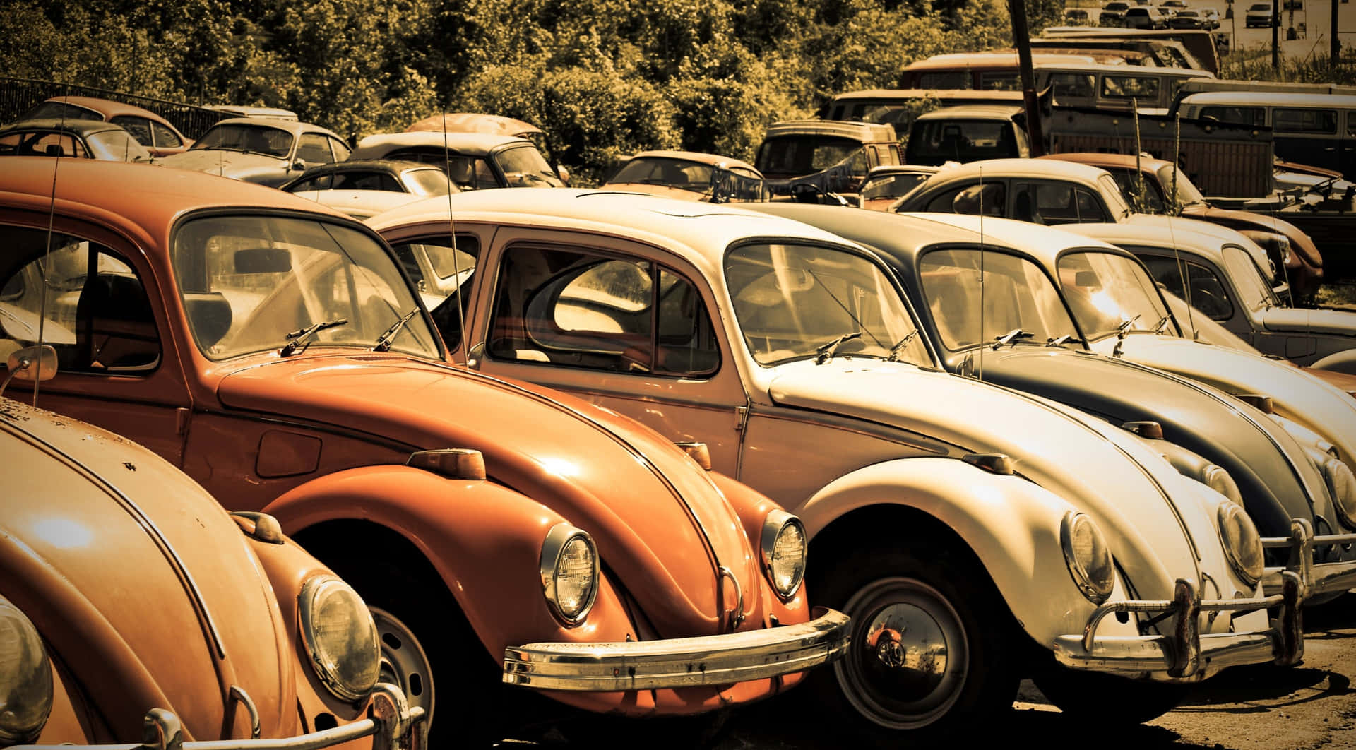 Classic Volkswagen Beetle Against An Open Road Wallpaper