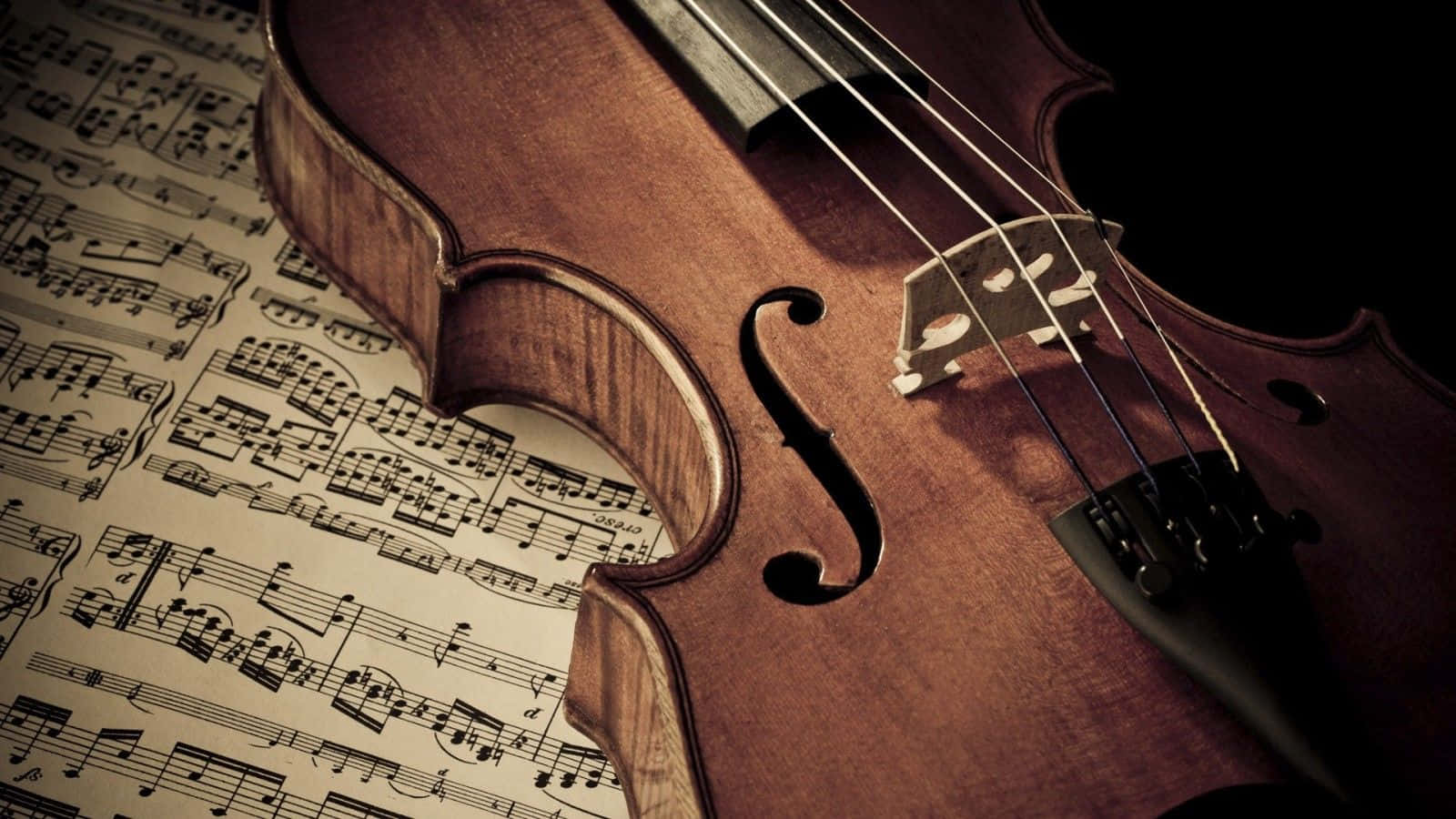 Image  "Beautiful Violin Performance" Wallpaper