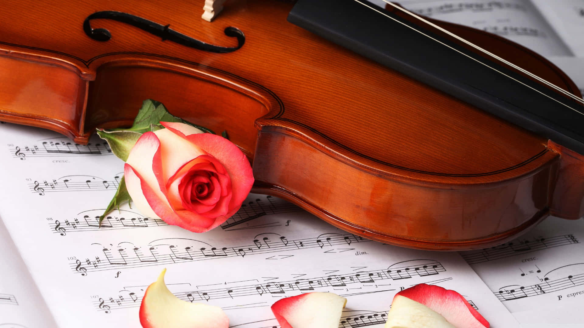 Enjoy the wholesome sound of classical music Wallpaper