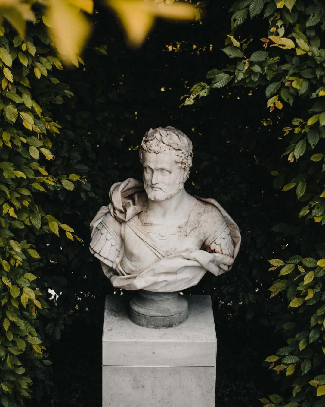 Classical Philosopher Statue Bust Wallpaper