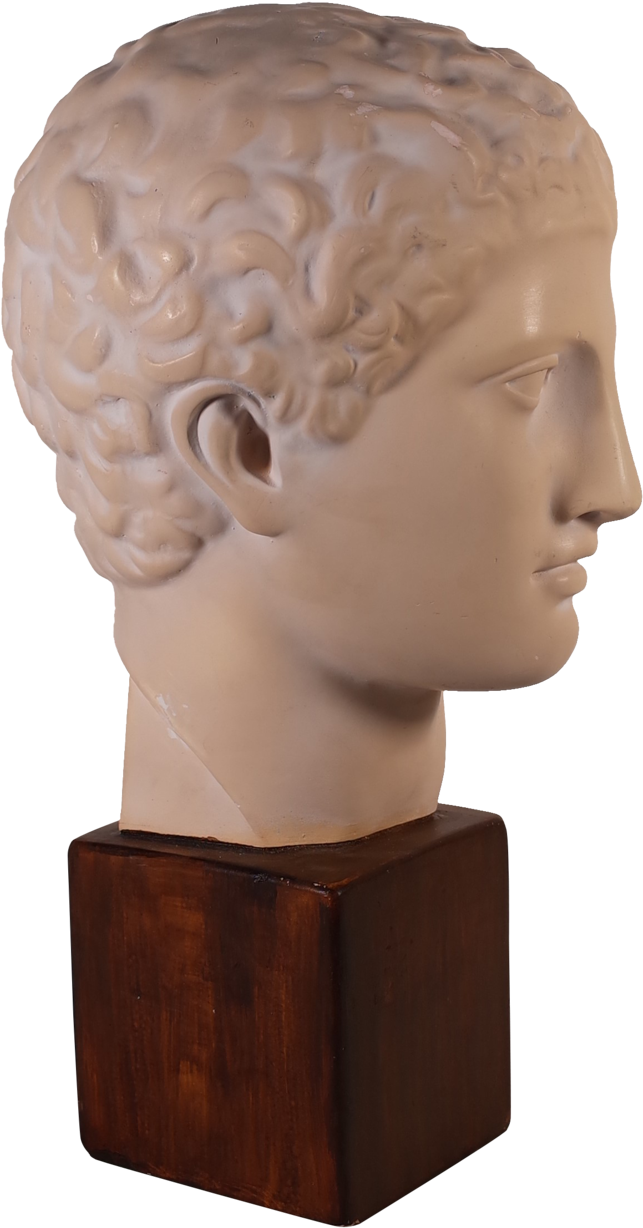 Classical Plaster Bust Sculpture PNG