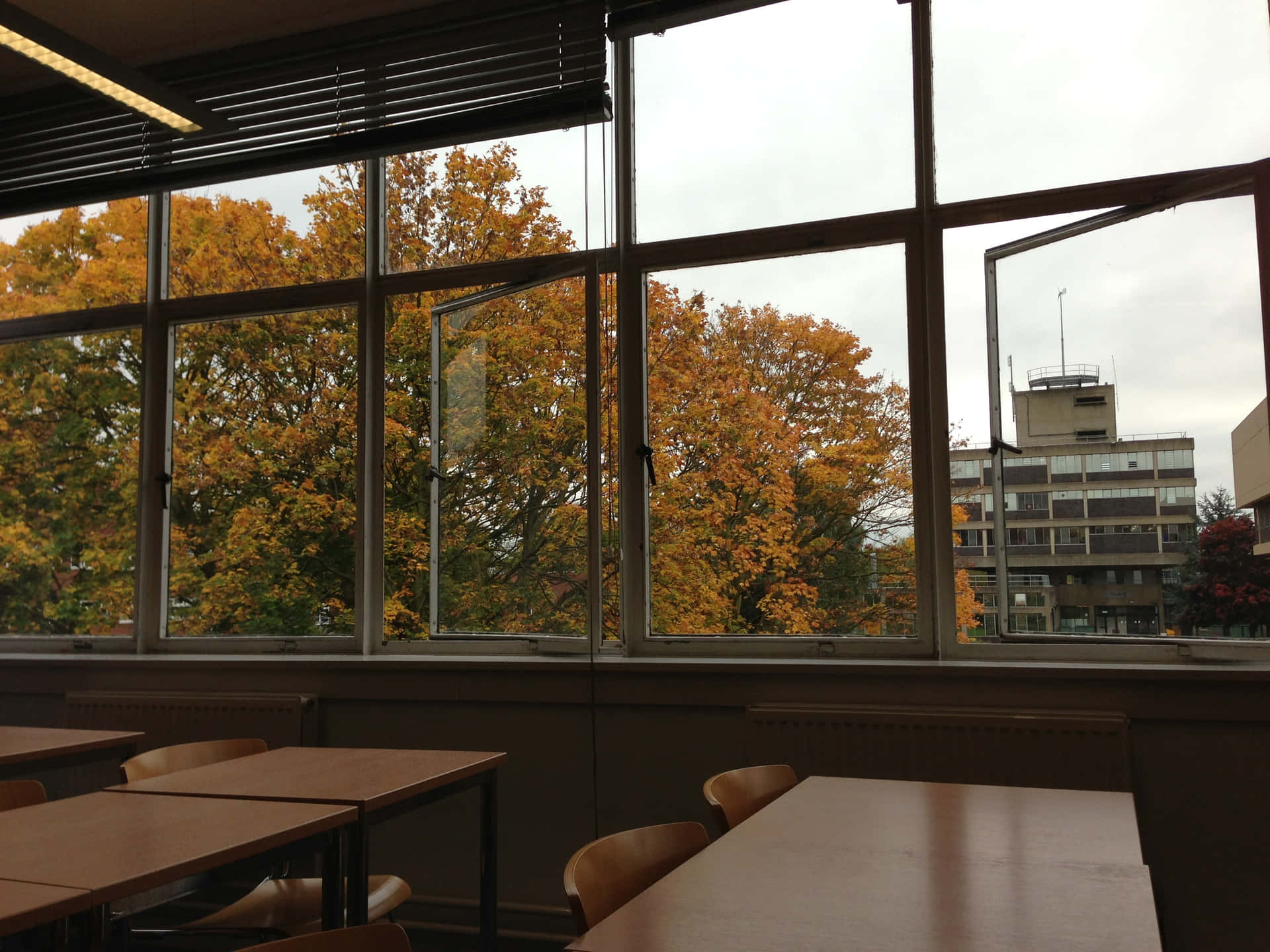 Opened Glass Windows In Classroom Background