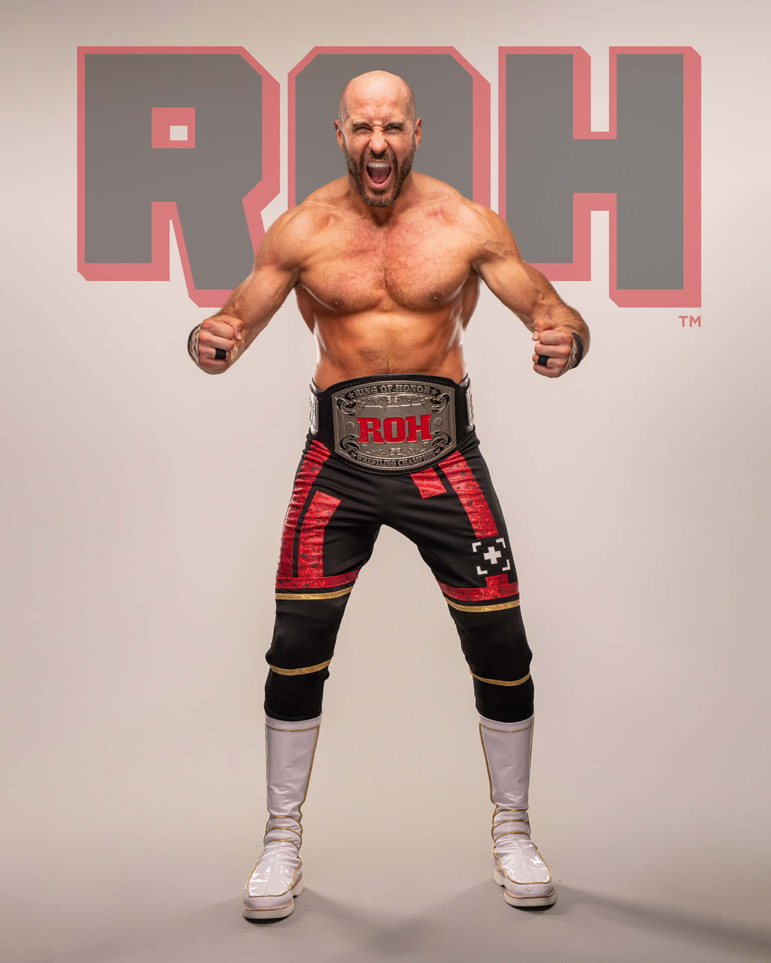 Claudio Castagnoli ROH Championship Belt Fotoshoot Tapet: Wallpaper