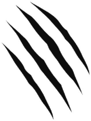 Claw_ Scratch_ Marks_ Vector PNG