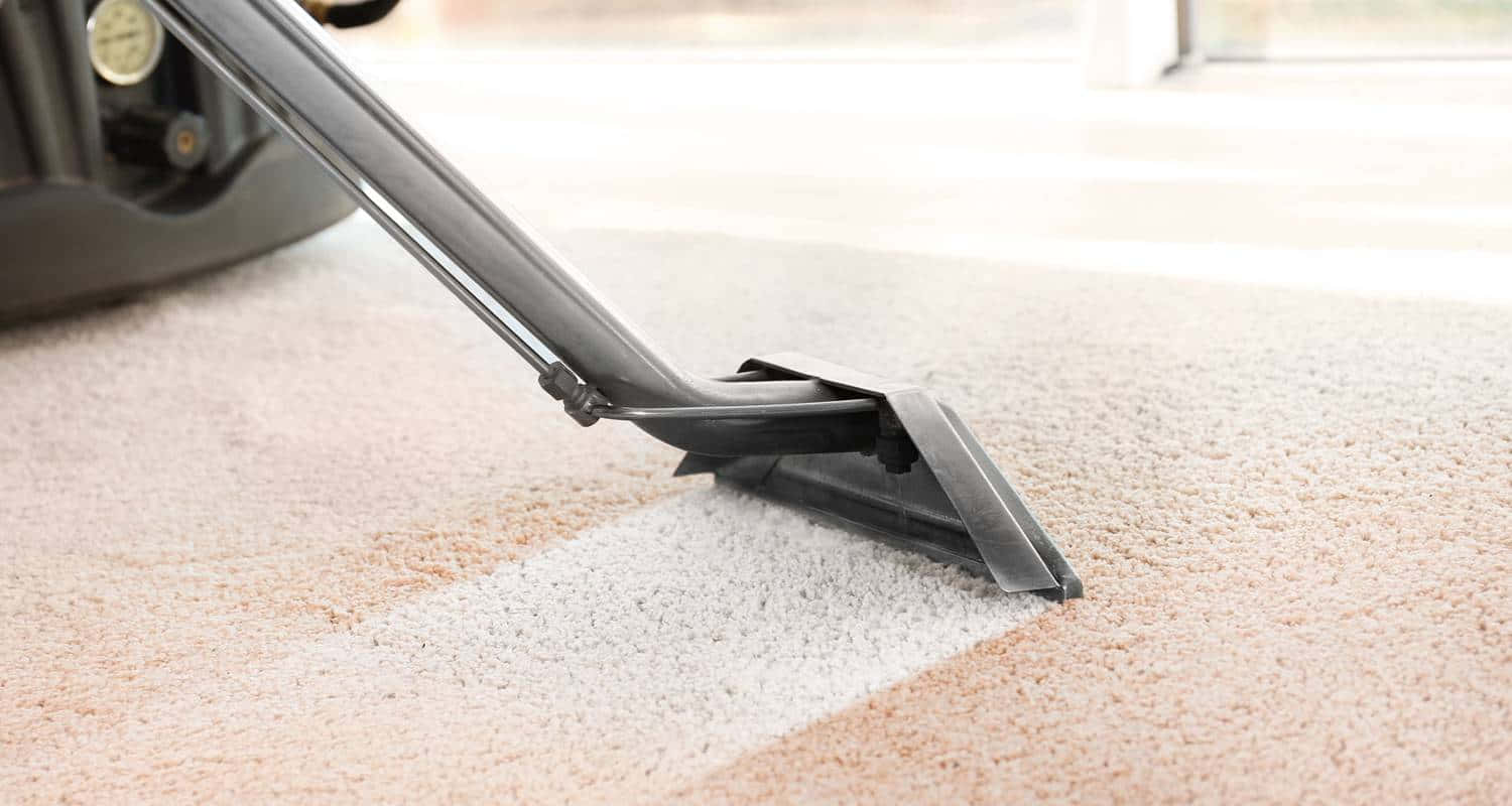 Cleaning Dirty Carpet Wallpaper