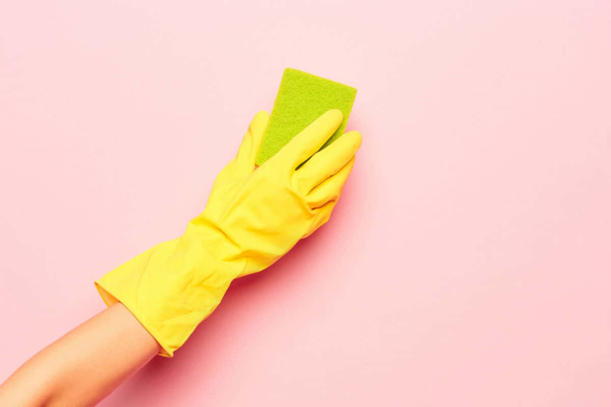 Hand Wearing a Cleaning Glove Wallpaper