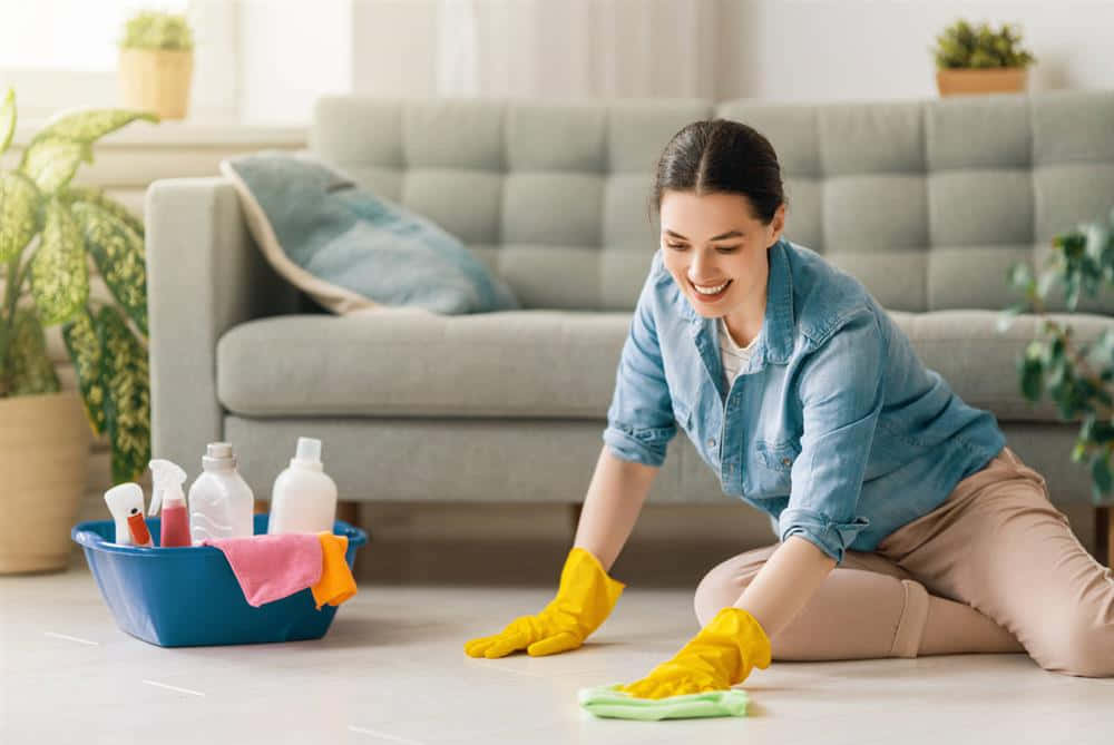 Smiling Woman With Cleaning Set Picture