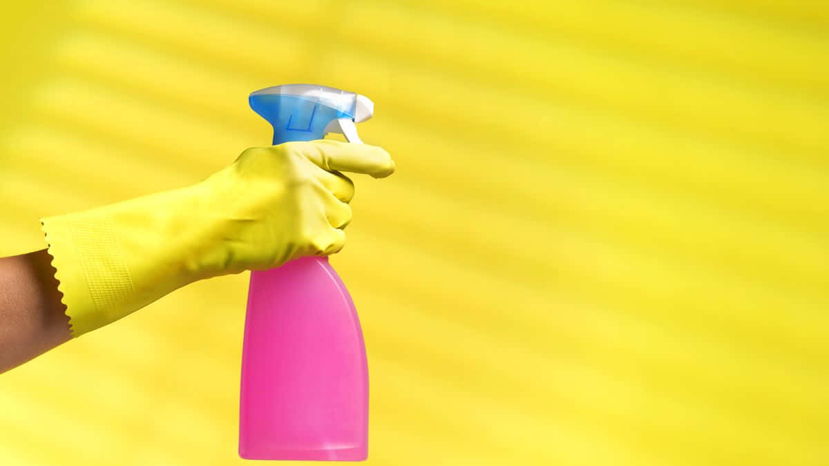 Cleaning Pink Blue Spray Bottle Picture