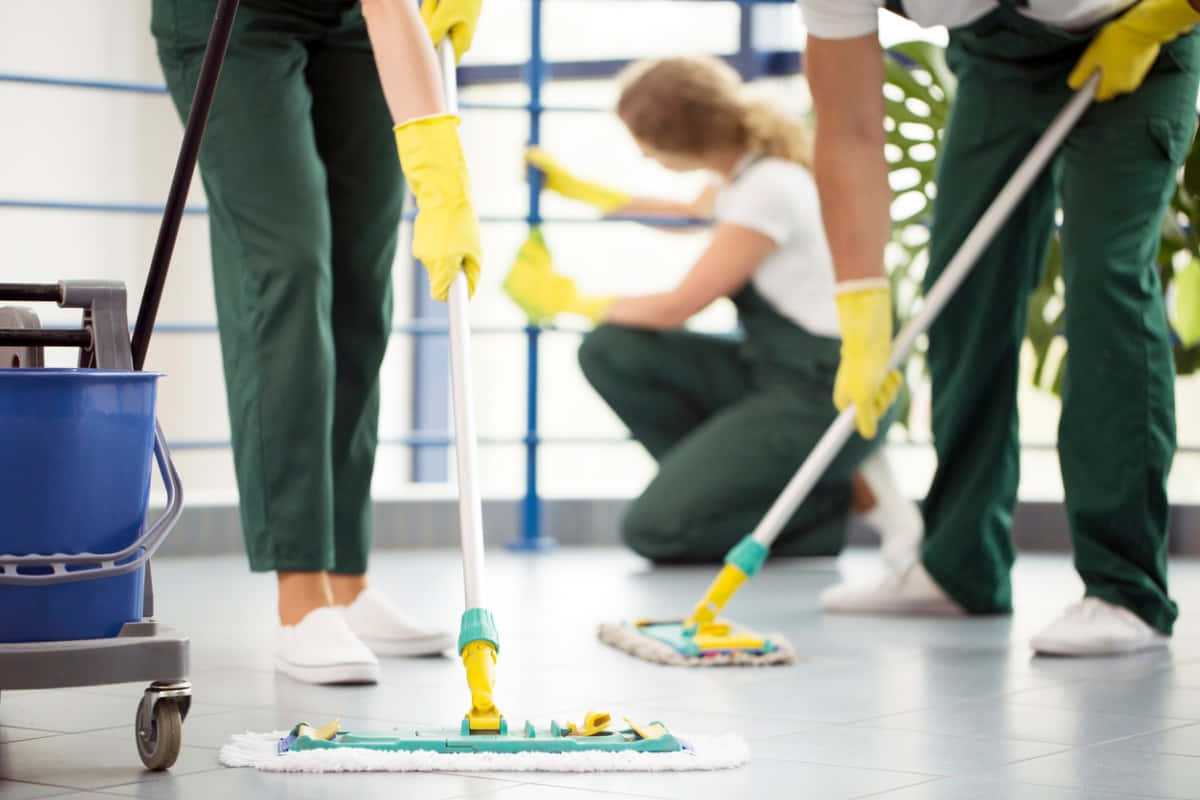 Cleaning Floor Mop Picture