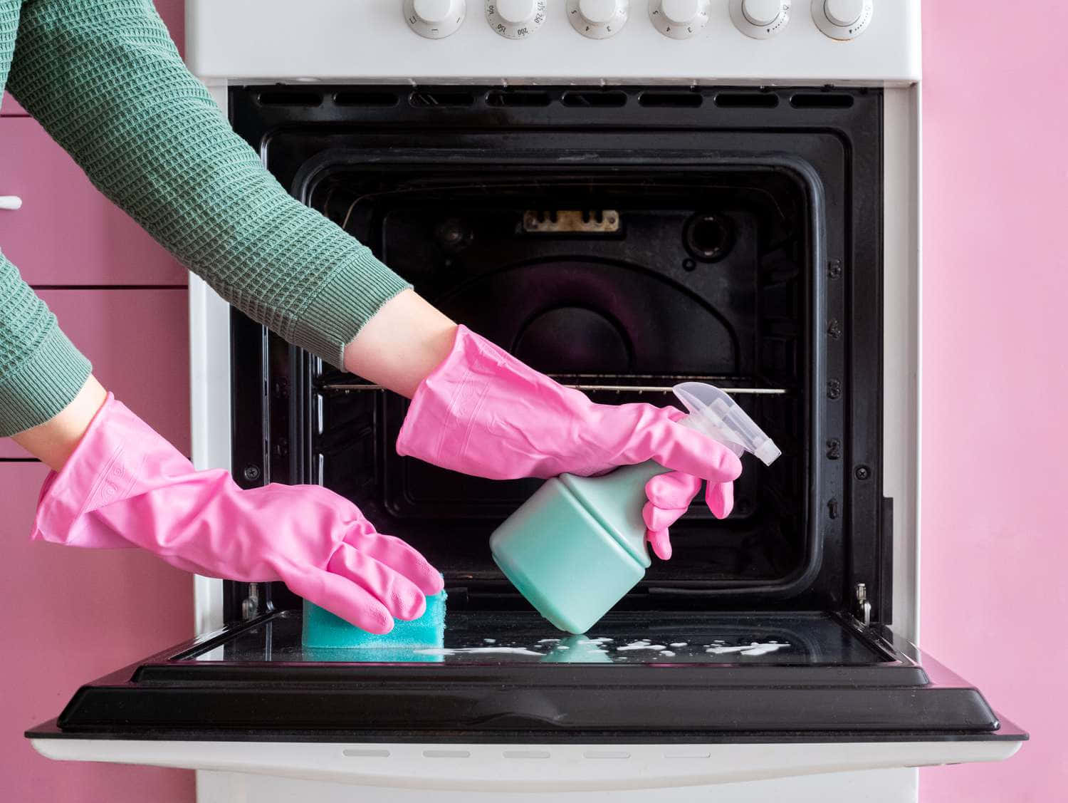 Woman Cleaning Oven Picture