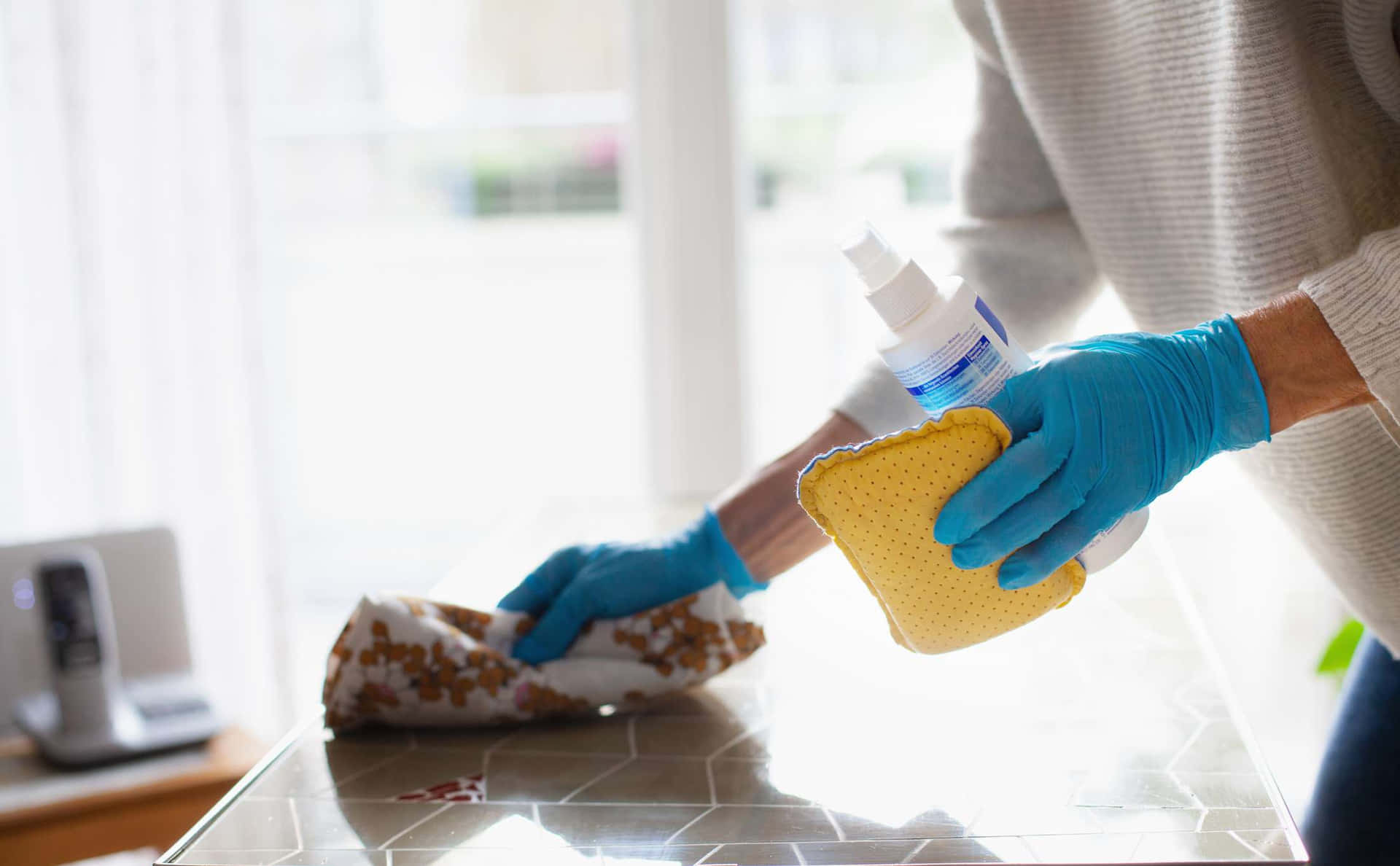 Woman Holding Cleaning Spray And Sponge Picture