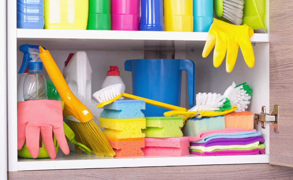 Cleaning Products Cabinet Picture