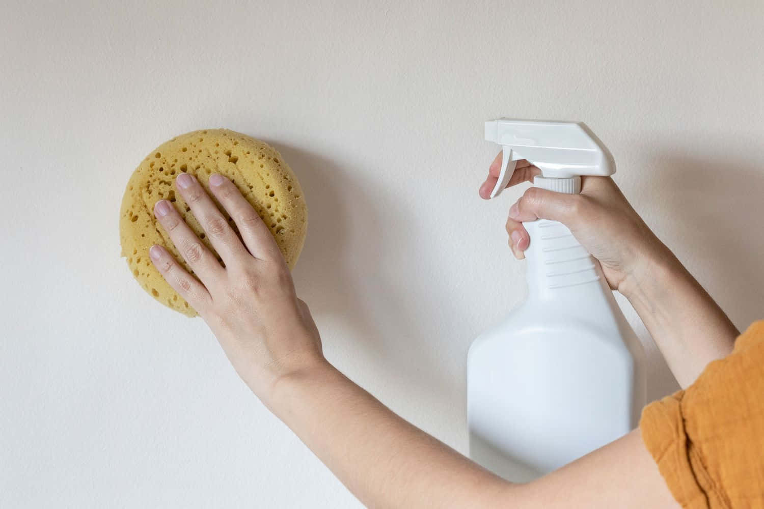 Cleaning Preparation Spray Bottleand Sponge Wallpaper