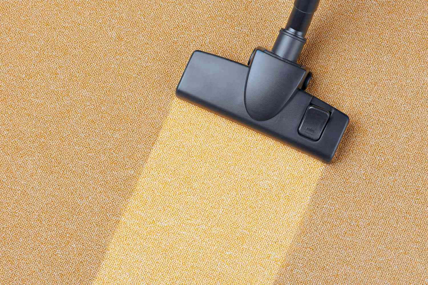 Cleaning Vacuum Cleaner Brown Carpet Wallpaper