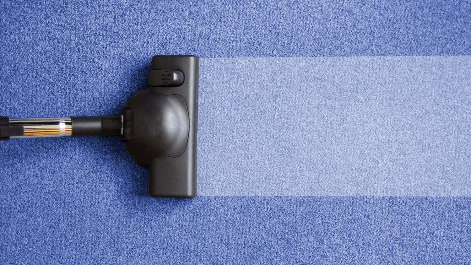 Indigo Carpet Deep Cleaning with Vacuum Machine Wallpaper