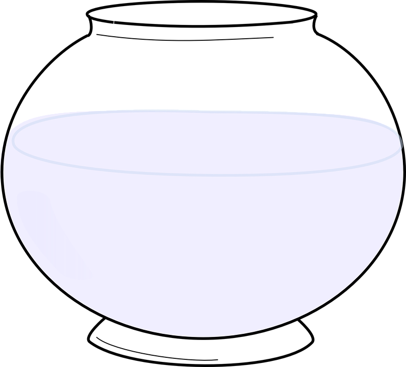 Clear Glass Bowl Half Fullof Water PNG