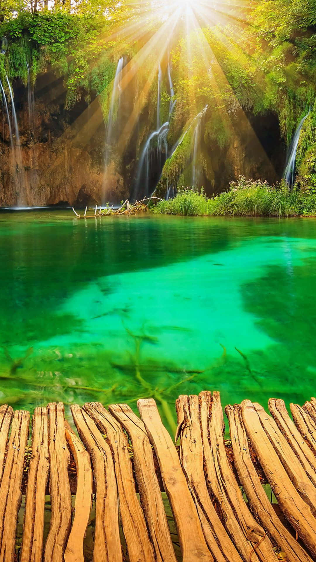 Fondode Pantalla Natural Del Lago Verde Claro Fondo de pantalla