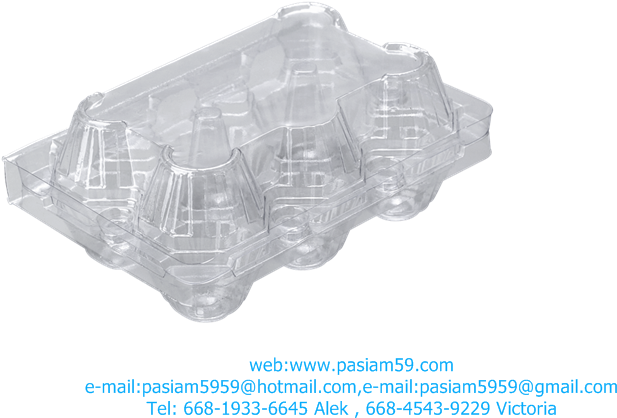 Clear Plastic Egg Carton PNG