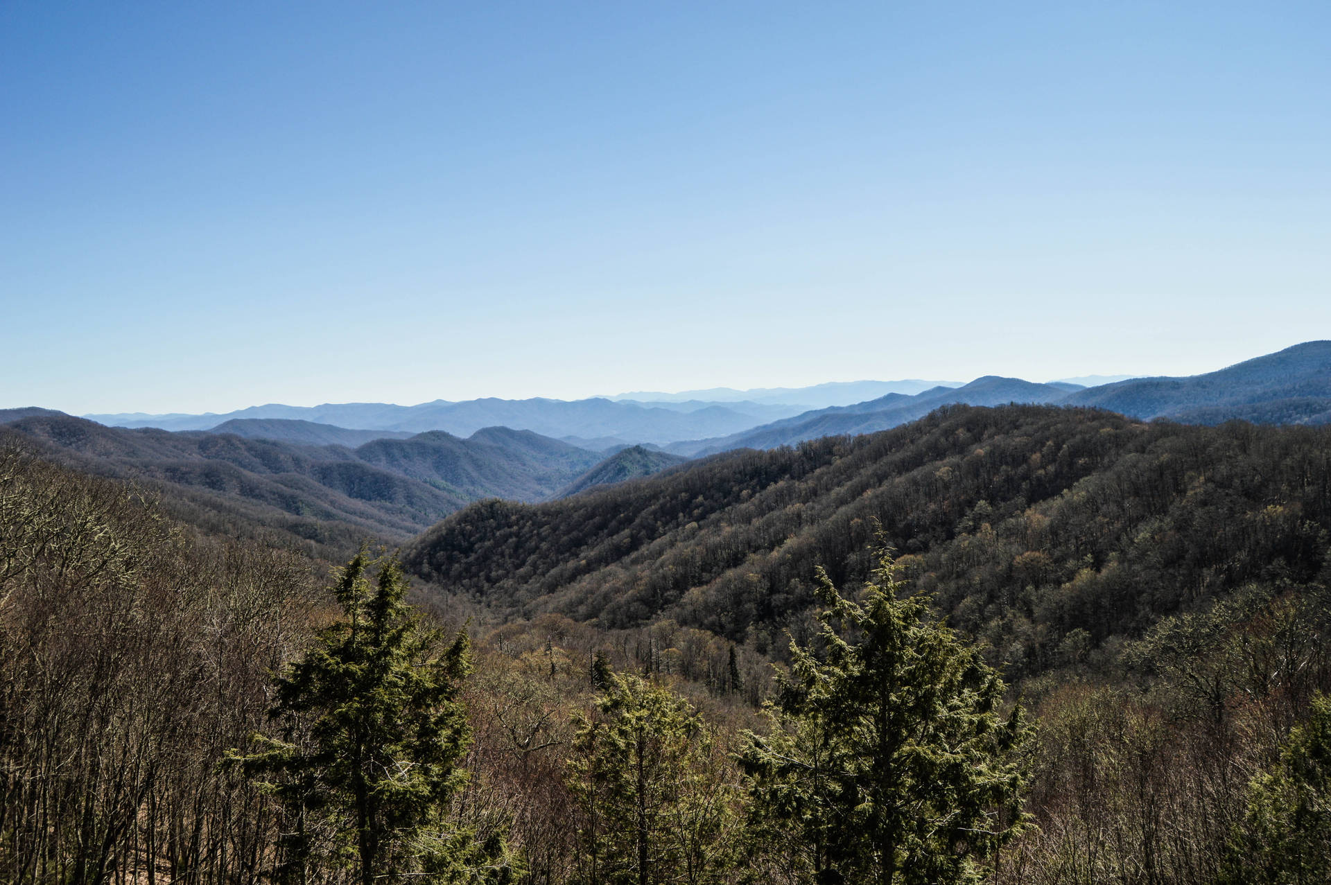 Clear Sky Above Smoky Mountains Wallpaper
