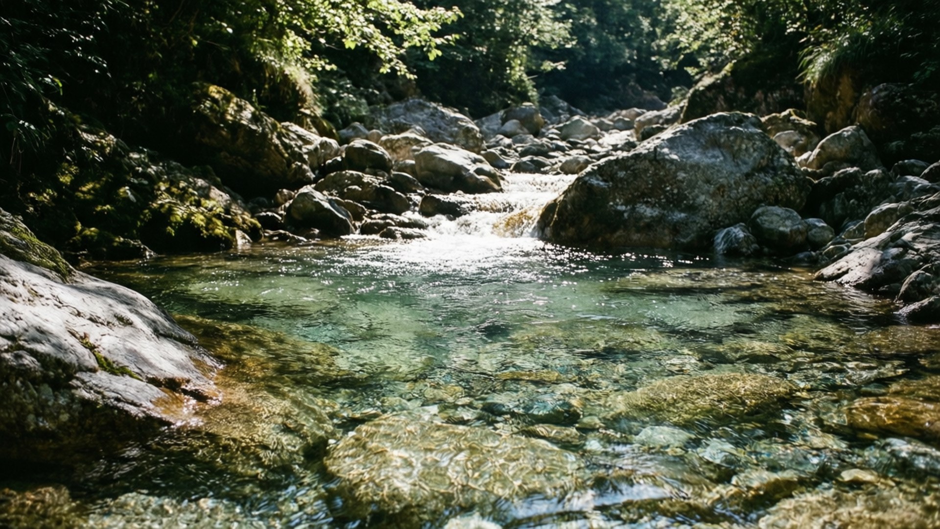 Ruscello Limpido Sfondi