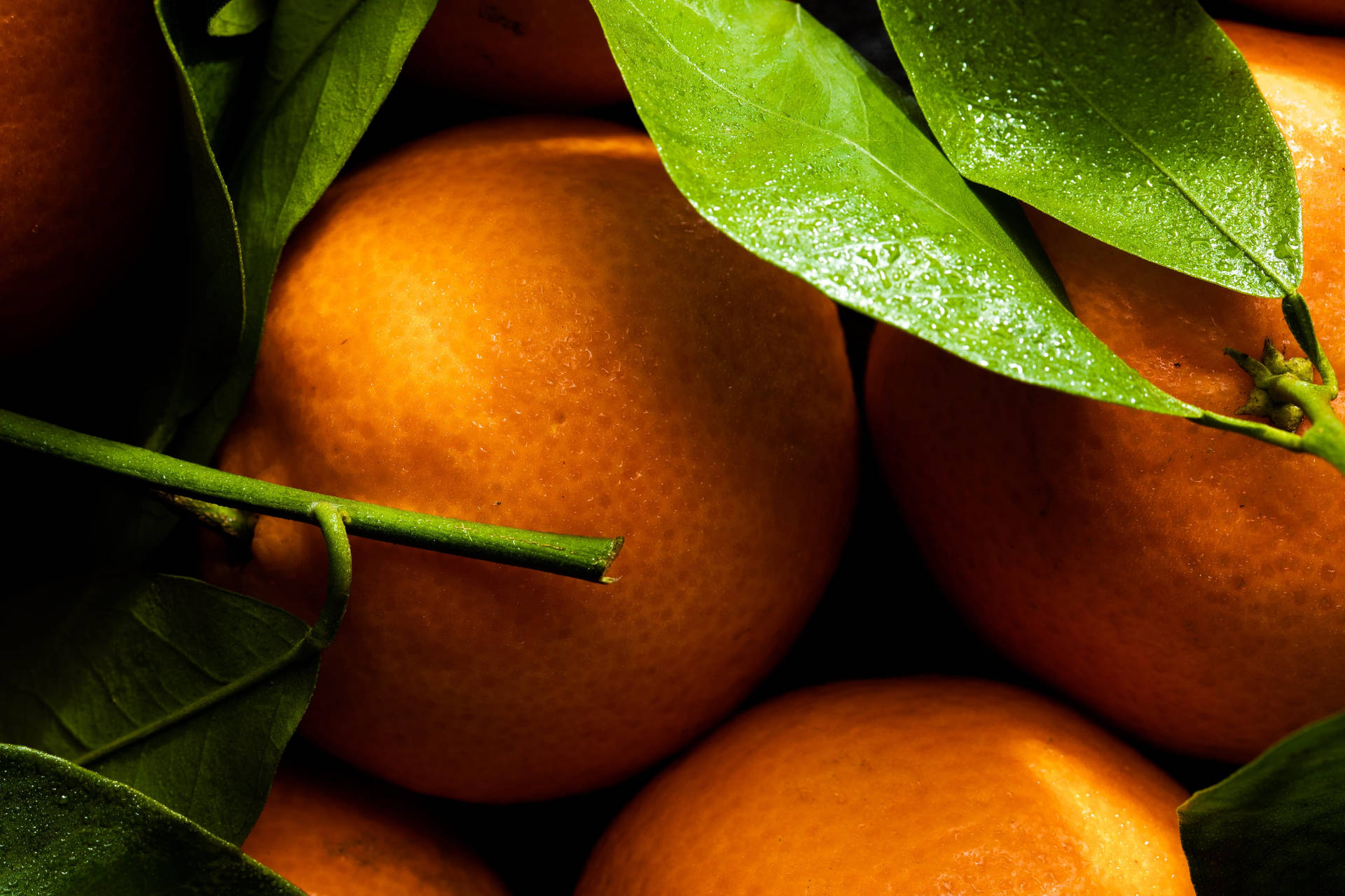Fresh Clementine Citrus Fruits Close-up View Wallpaper