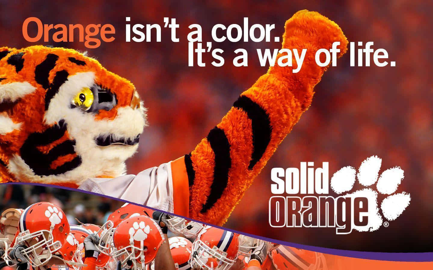 Clemson Tigers fodboldholds mascot på tapet. Wallpaper