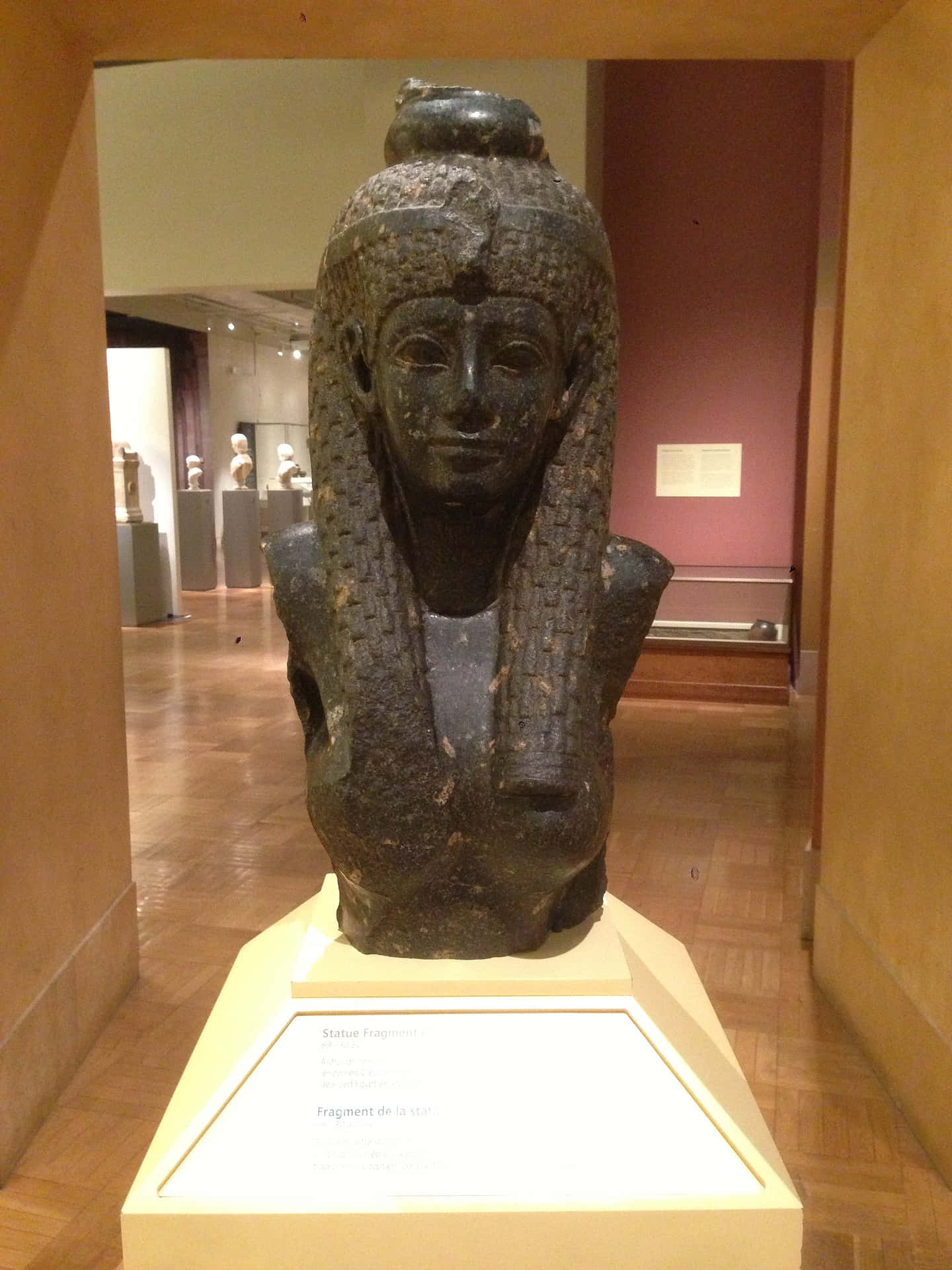 L'ultimafaraona Dell'antico Egitto, Cleopatra.