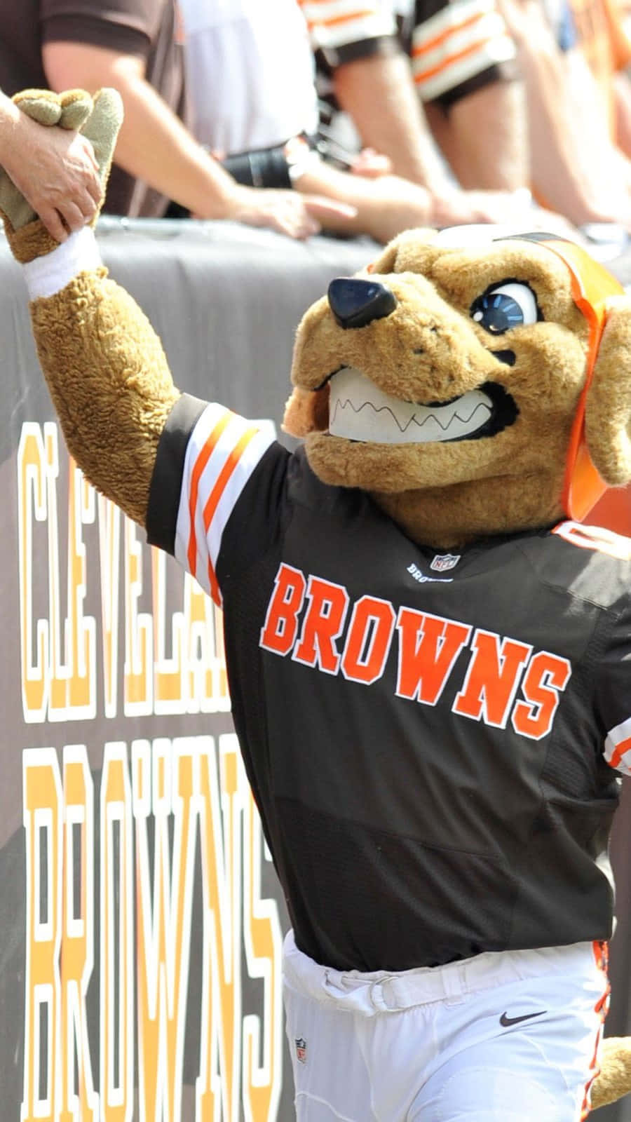 Cleveland Browns Mascot High Five Wallpaper