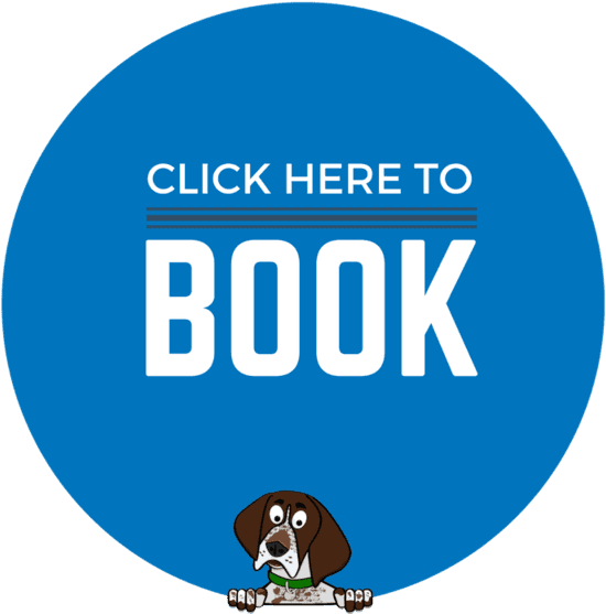 Click Here To Book Button With Dog Illustration PNG