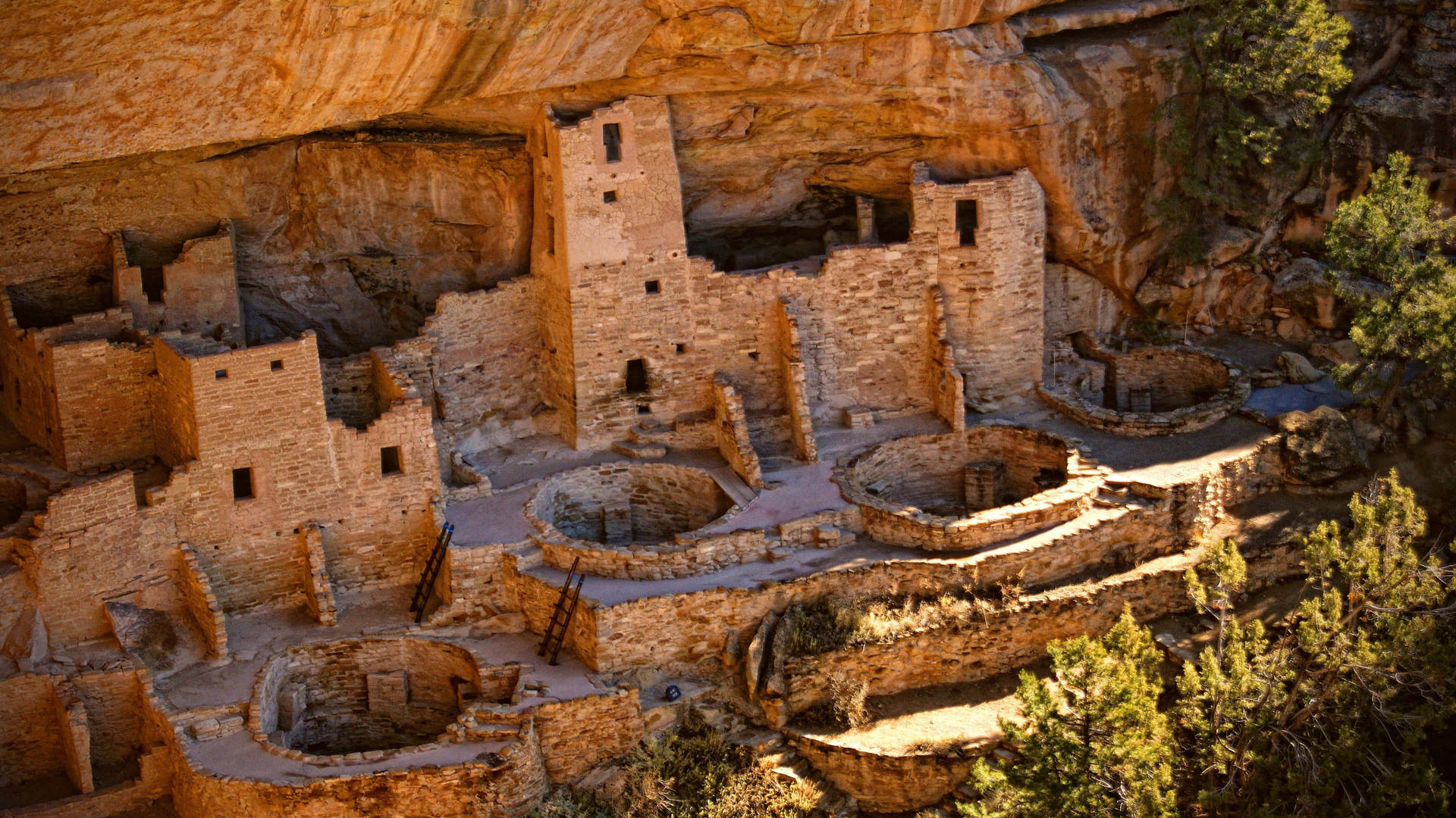 Cliff Palace In Mesa Verde Wallpaper