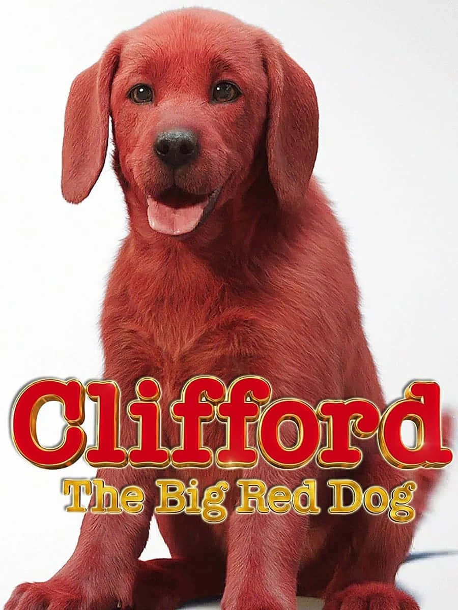 Clifford the Big Red Dog Ready to Have Fun