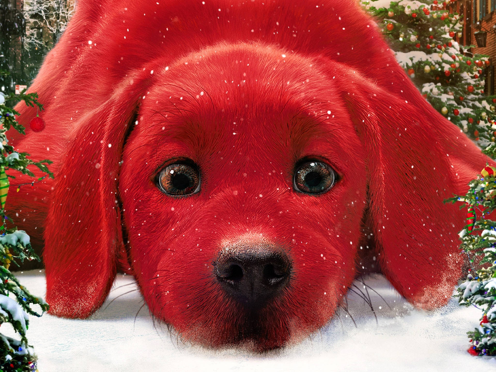 Clifford The Big Red Dog Christmas Background