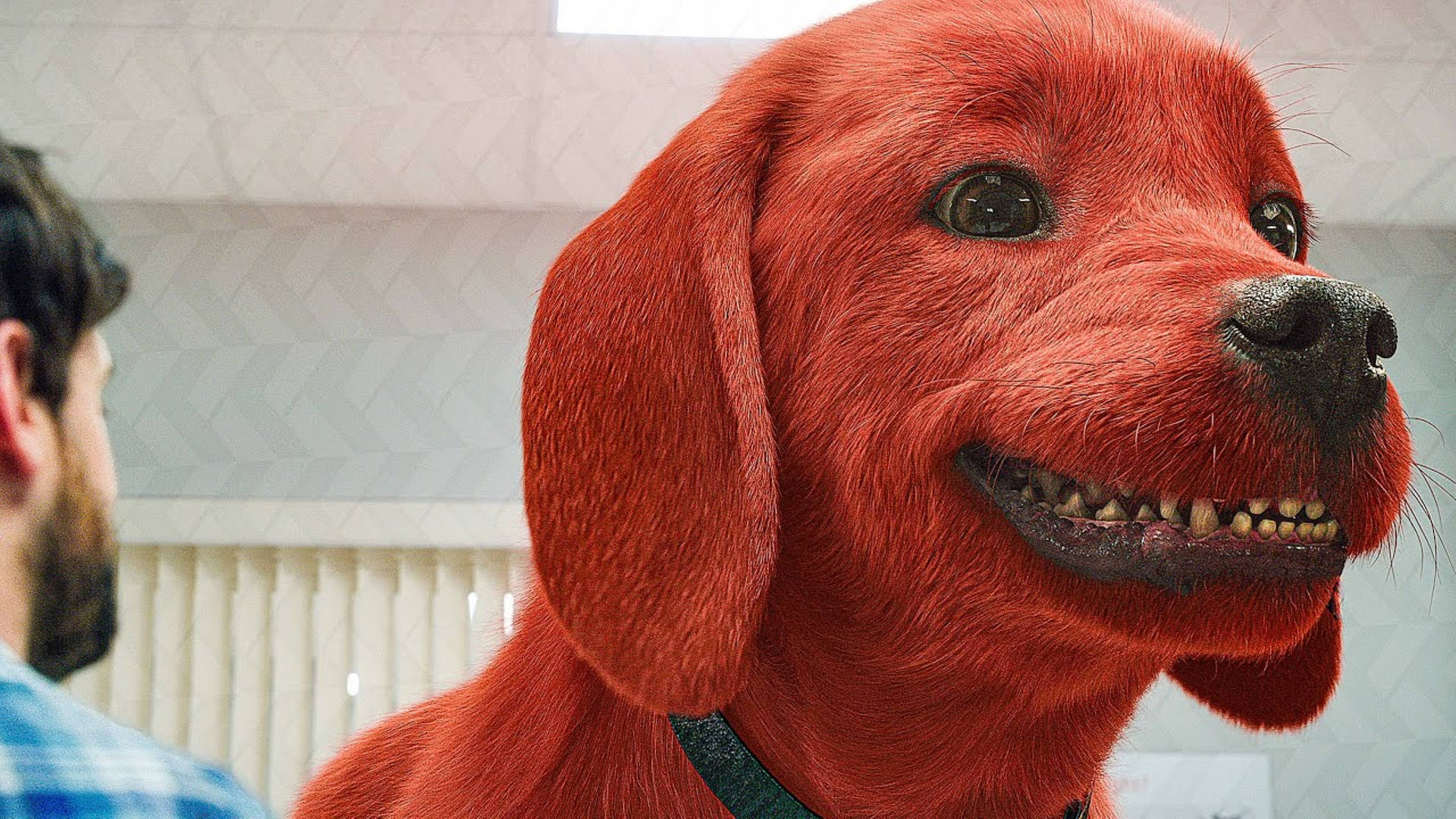Clifford The Big Red Dog Grinning Wallpaper